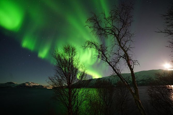 Northern lights - TeslaX Ecofriendly Car - Price and value: what $192.75 buys you in practice