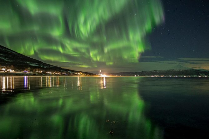 Northern Lights Tour from Tromsø - Campfire dinner and warm drinks: More than a snack break
