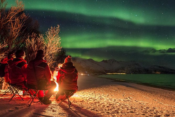 Northern Lights Tour from Tromsø - Price and value: Is $259.11 a fair deal?