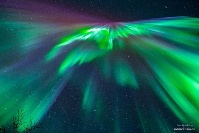 Northern Lights Tour, Photo, Toilet, Meal, Skycam in Mbus - Arriving at Ami Hotel, thermal gear first, aurora hunting starts fast