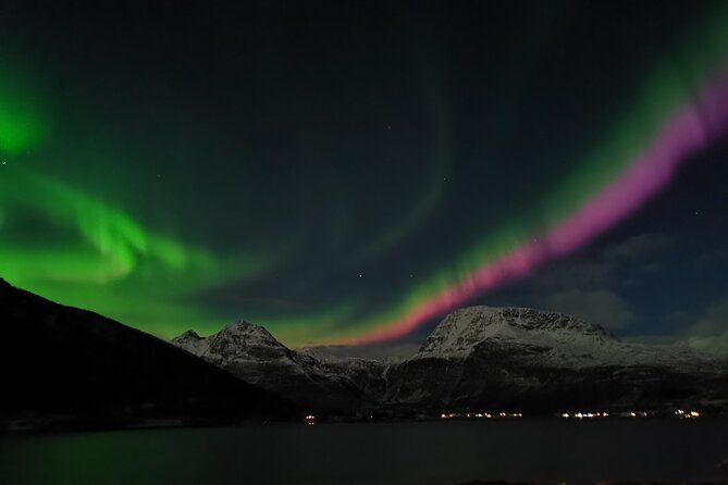 Northern Lights Tour, Tromso, Local Guide, Private Basecamp - Key things that make this Tromso Northern Lights tour work