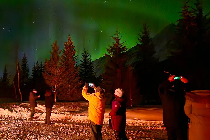 Northern Lights Tour, Tromso, Local Guide, Private Basecamp - Viewing strategy: why timing and positioning matter