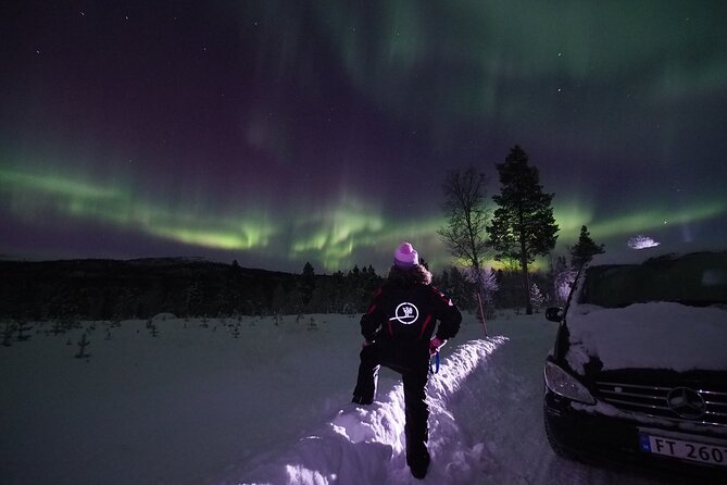 Northern Lights tour with Alta Adventure - Why Alta at 8 pm works for aurora hunting