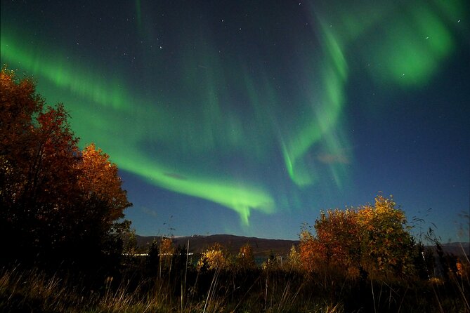 Northern Lights tour with Alta Adventure - Warm gear, tea, and snacks, so you do not freeze out the fun