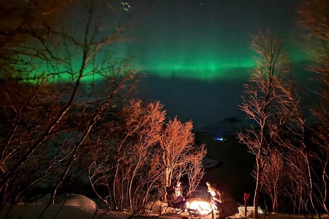 Northern Lights Tour with Hot Food and Drinks in Tromso - Photo help that actually matters: tripods, headlights, and guidance
