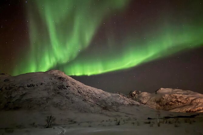 Northern Lights Tour with Hot Food and Drinks in Tromso - Price and value: what you’re paying for at $269.24