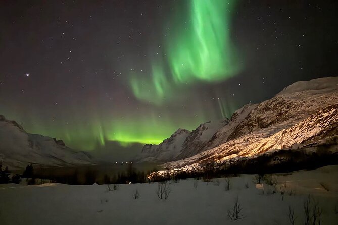Northern Lights Tour with Hot Food and Drinks in Tromso - Staying warm for the long wait: thermal suits and what to pack