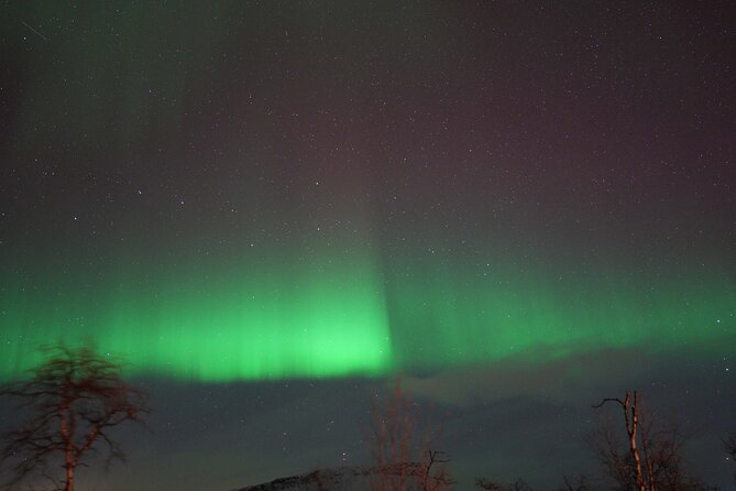 Northern Lights Tour with Local Guide and Photos - Pro photos after the tour, and why this is more than a free souvenir