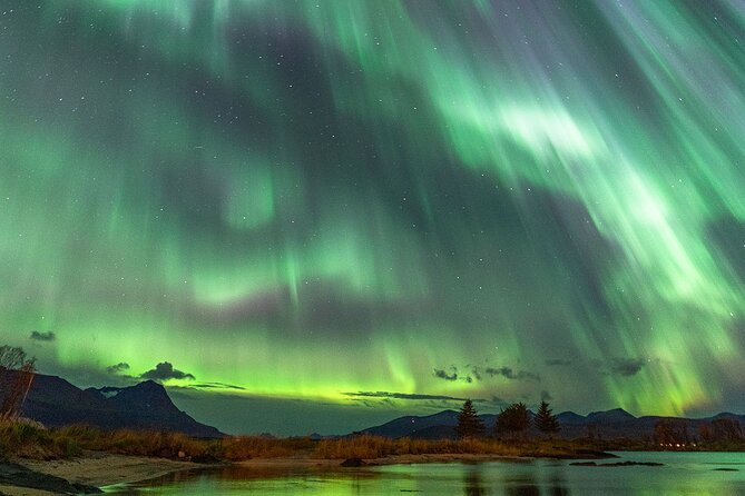 Northern Lights Tour with Local Guide and Photos - Price in context: $198.50 and what’s actually included
