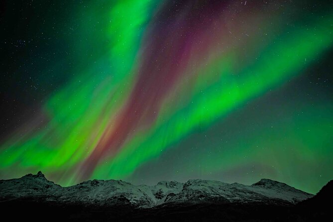 Northern Lights Tour with small group of 8 people - Key things to know before you go