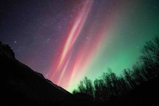 Northern Lights Tour with small group of 8 people - Tromsø at Night, and Why This Tour Is a Weather Game