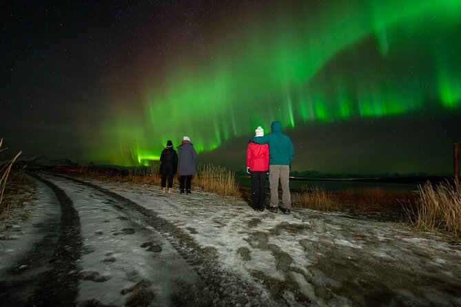 Northern Lights Tours Bodo Norway - Bodø After Dark, and Why This Safari Starts In Town