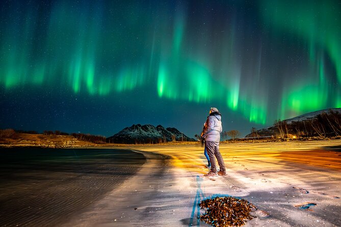 Northern Lights Tours Bodo Norway - How the Guide Actually Helps You See the Lights