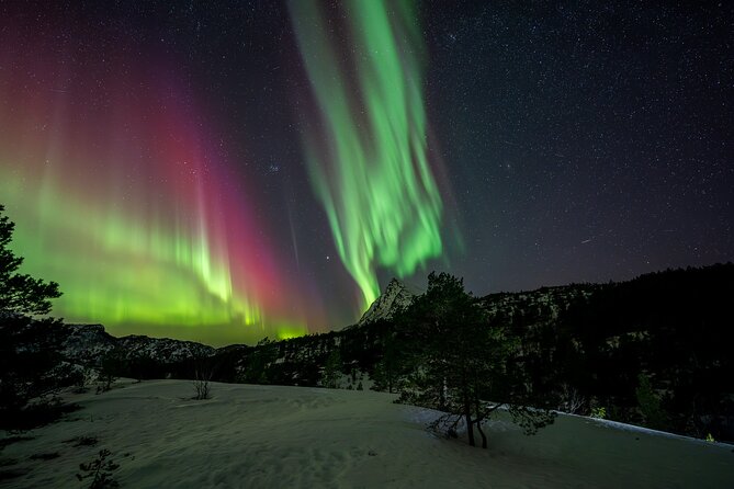 Northern Lights Tours Bodo Norway - Northern Lights Photos: Tips, Photo Sharing, and Faster Results