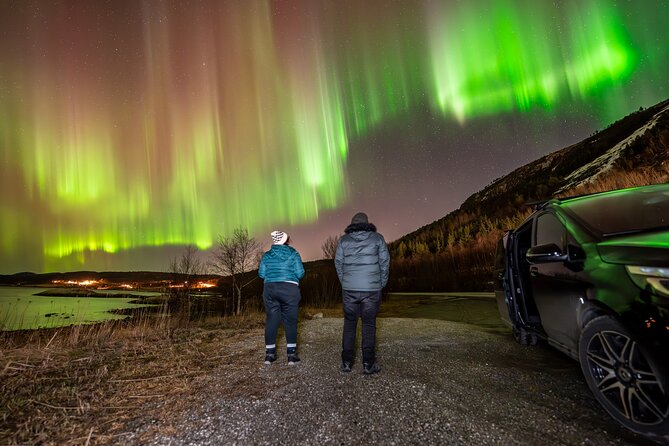 Northern Lights Tours Bodo Norway - Weather, Clear Skies, and When Plans Need to Change
