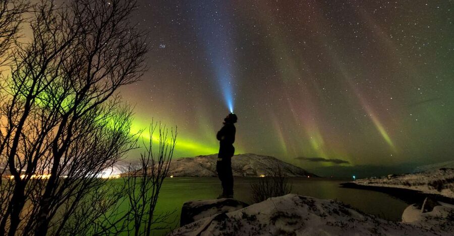 Northern lights Tromsø - small group tour with local guide - Local expertise you can feel in the details