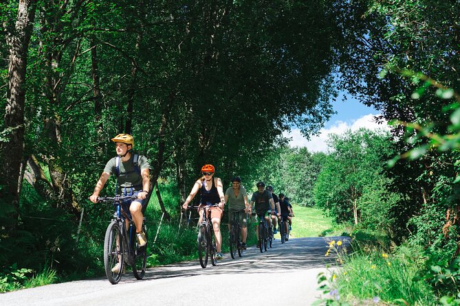 Olden: Fjord e-bike tour - Key things to know before you ride