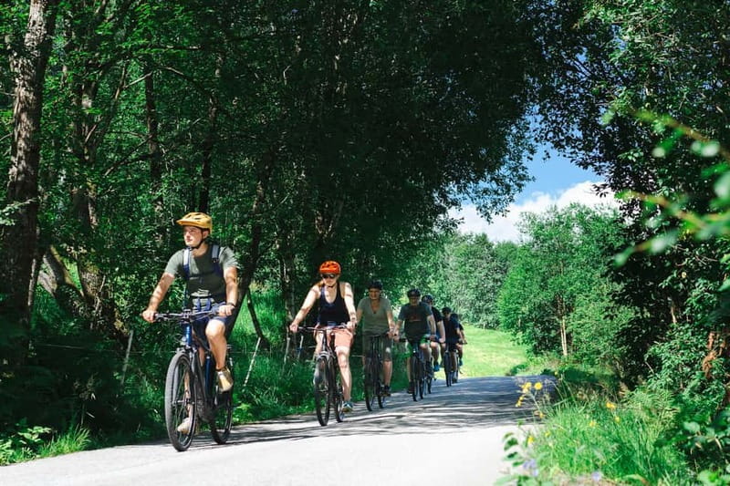 Olden: Guided e-bike tour - Olden by e-bike: the simple way to get big fjord views