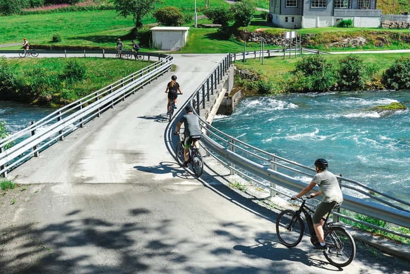 Olden: Guided e-bike tour - The e-bikes in action: easy learning and a comfortable pace
