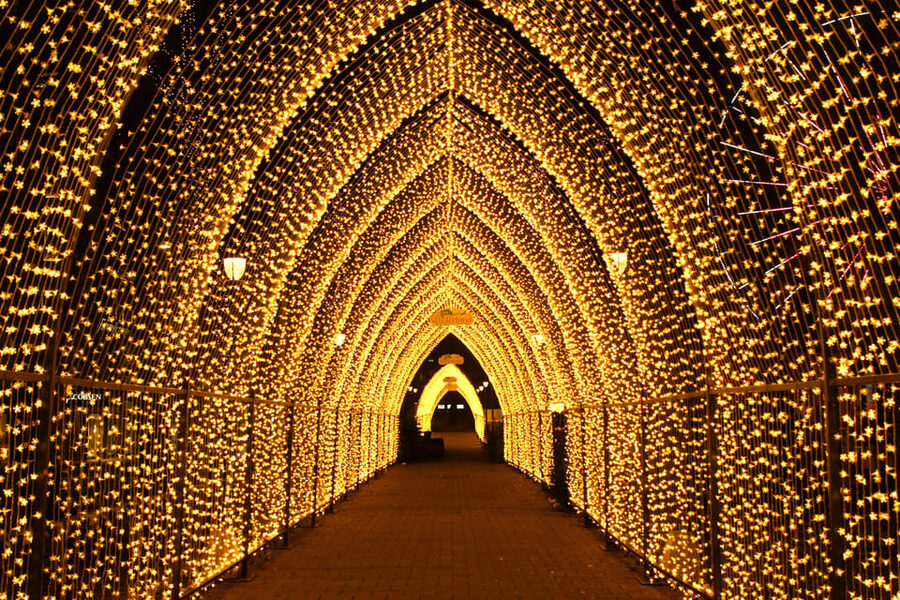 Oslo: 2-hour Christmas Private Walking Tour - Key points for planning