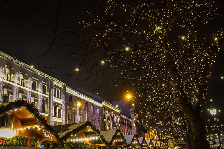 Oslo: 2-hour Christmas Private Walking Tour - The Royal Palace of Oslo: a fitting finale with photo-worthy framing
