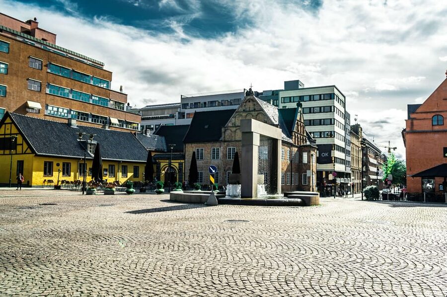 Oslo: 3-hour Highlights & Vigeland Park Private Walking Tour - Royal Palace, Karl Johans gate, and the street that organizes the city