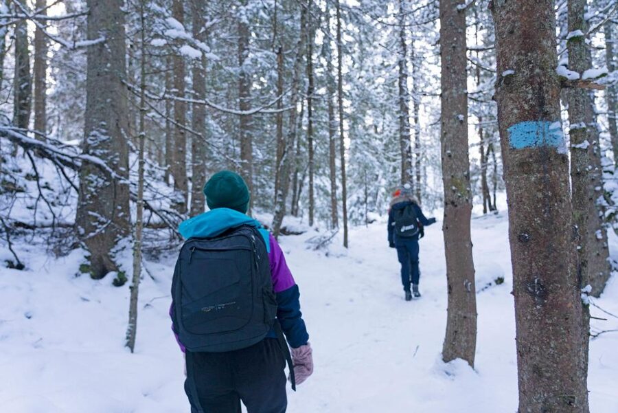 Oslo: Best View of the Oslofjord Winter Edition - Huldra ponds: mythwalking through frozen water