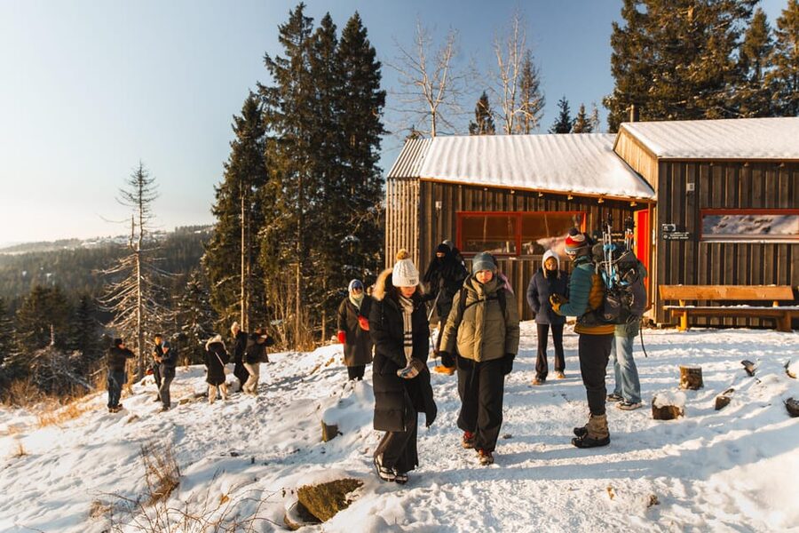 Oslo: Best View of the Oslofjord Winter Edition - Who guides this walk, and what you should expect from them
