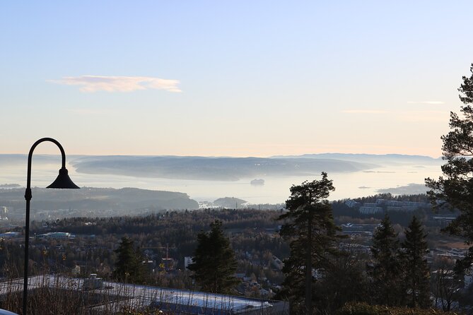 Oslo City Highlights with Fjord Cruise - Who should book this Oslo city highlights plus fjord cruise?