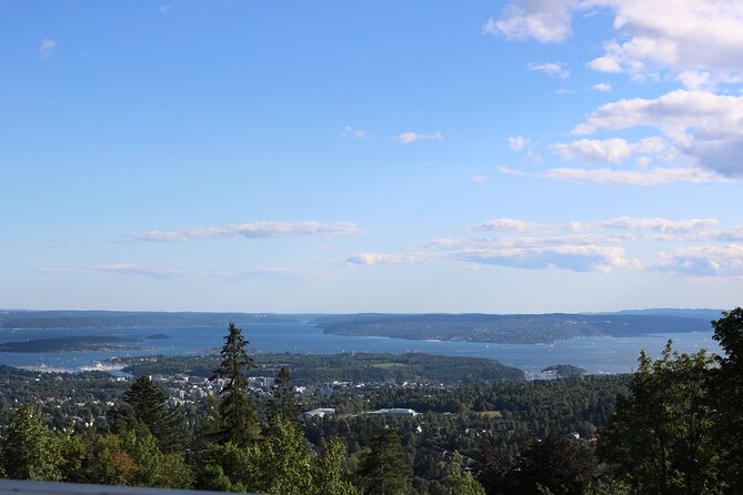 Oslo City Highlights with Fjord Cruise - Should you book this Oslo highlights plus fjord cruise?