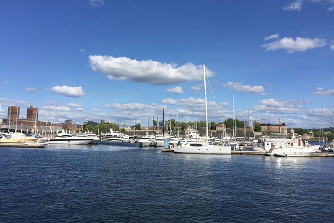 Oslo City Highlights with Fjord Cruise - Vigeland Sculpture Park: the walk where the story finally clicks