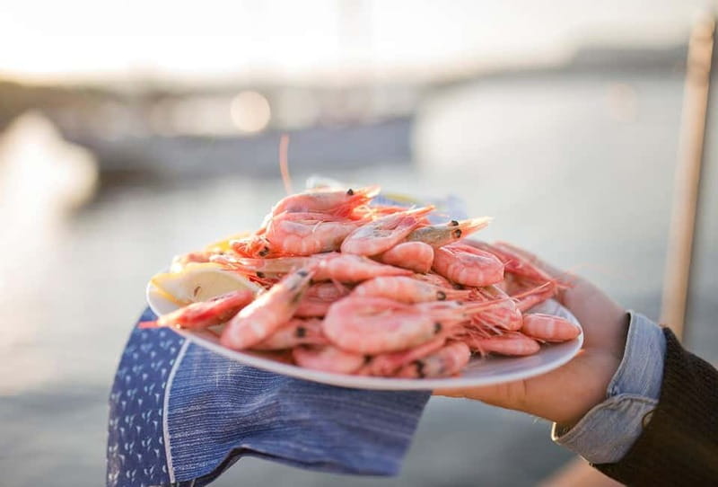 Oslo: Fjord Dinner Cruise on Sailing Ship w/ Seafood Buffet - The sailing portion: sightseeing, music, and a pace that stays comfortable