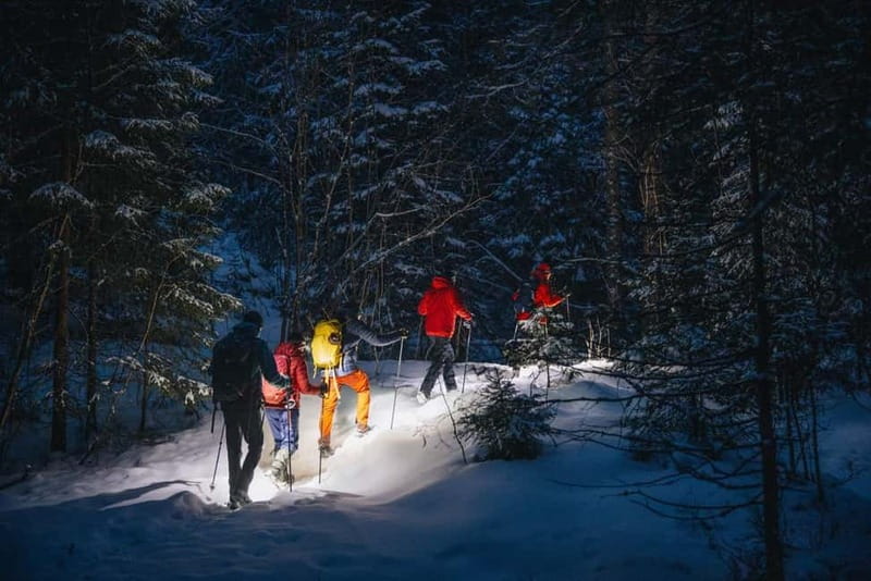 Oslo Forest: Mystery Night Walk with Headlamps - Key Highlights You Will Feel Immediately