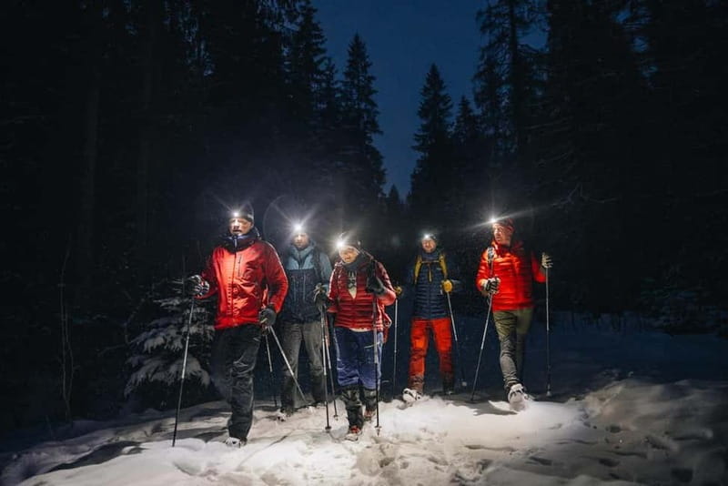 Oslo Forest: Mystery Night Walk with Headlamps - From Backstube Opera to the Edge of the Blue Hour