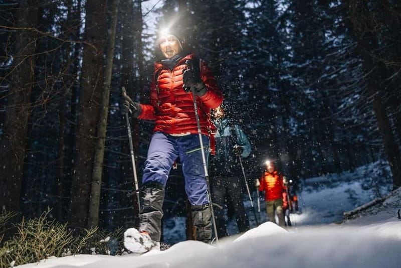 Oslo Forest: Mystery Night Walk with Headlamps - Frognerseteren at Night: Headlamps, Spikes, Poles, and Footing