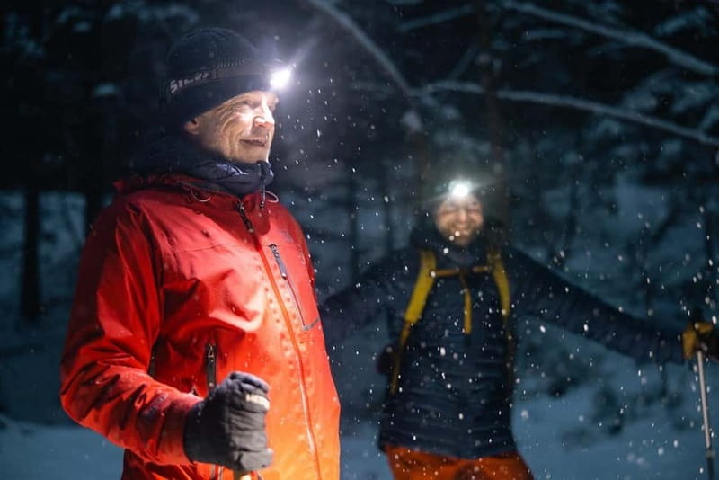 Oslo Forest: Mystery Night Walk with Headlamps - Cozy Campfire Reset: Gløgg, Snacks, and Staying Warm