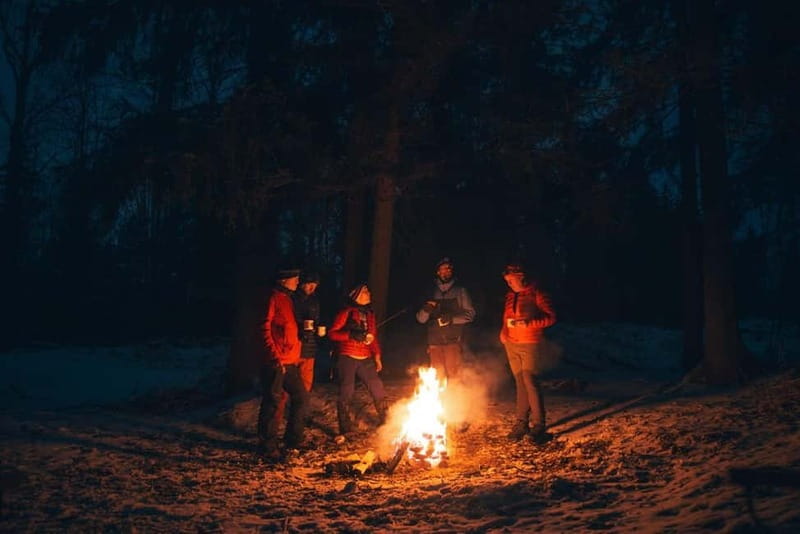 Oslo Forest: Mystery Night Walk with Headlamps - Price and Value: Is $93 Worth It?