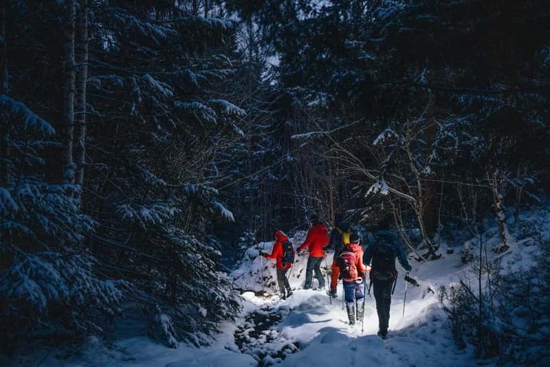Oslo Forest: Mystery Night Walk with Headlamps - Who This Mystery Night Walk Is Best For