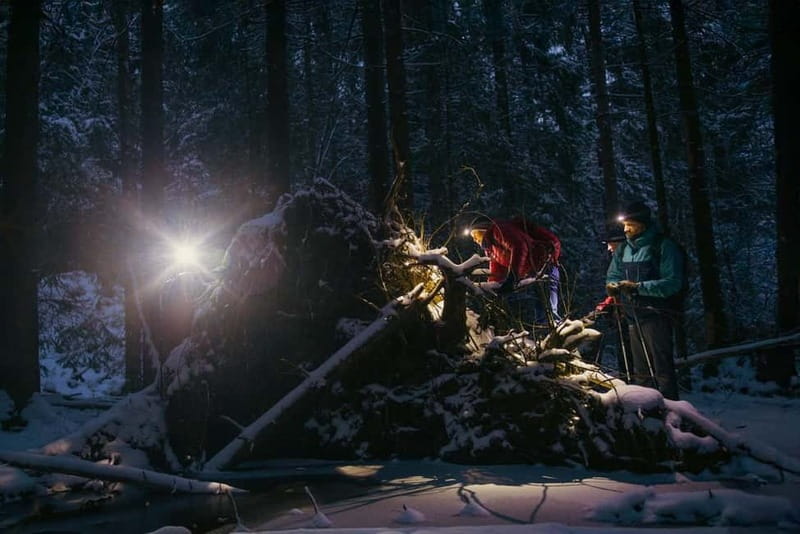 Oslo Forest: Mystery Night Walk with Headlamps - Getting There: Train Time, Walking Distance, and a Realistic Pace