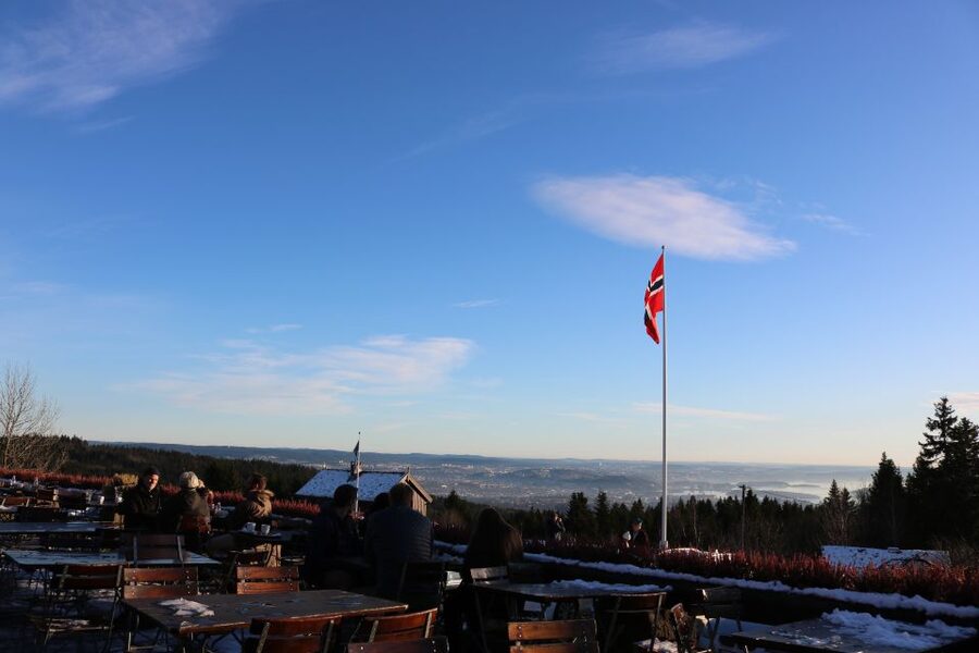Oslo: Guided Oslo Highlights Tour by bus & Oslofjord cruise - Timing and pacing: how this 5.5-hour day actually feels