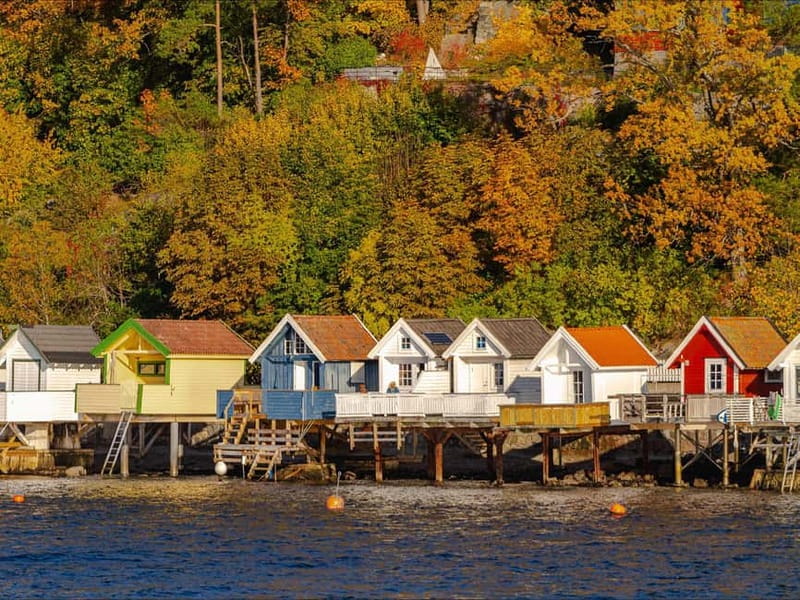 Oslo: Guided Sightseeing Fjord Cruise on Premium Silent Boat - Key highlights I’d plan around