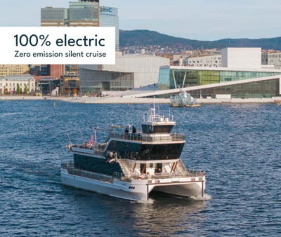 Guided Sightseeing Fjord Cruise on Premium Silent Boat