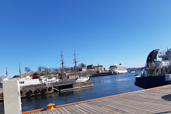 Oslo Highlights. Best Private Walking Tour of Oslo with a Local Guide. - Oslo City Hall and the Nobel Peace Prize: Civic Art You Might Miss