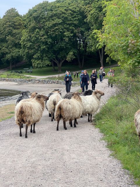 Oslo Island Walks: Island Hopping Tour - Gressholmen inlets and easy trails for sea air and photos