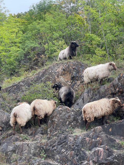 Oslo Island Walks: Island Hopping Tour - How the schedule keeps it fun, not tiring