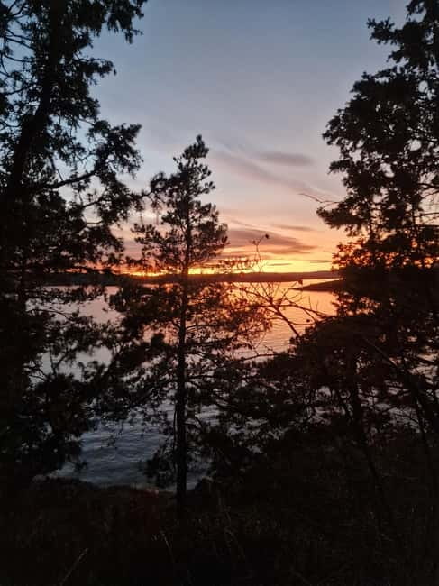 Oslo: Malmøya most beautiful Island Guided Hike-Waffle&Drink - Kaninøya Nature Reserve and Skinnerbukta Bay: the calm photo stop