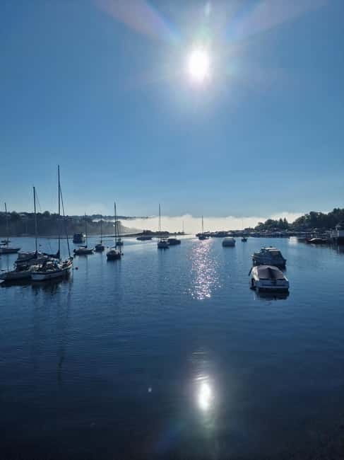 Oslo: Malmøya most beautiful Island Guided Hike-Waffle&Drink - Price and value: what $62 buys you in the real world