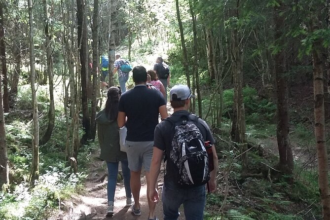 Oslo Nature walks: Forest to Fjord - Stop 1: Frognerseteren for classic Norwegian rural architecture