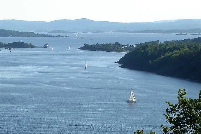 Oslo Nature walks: Forest to Fjord - Stop 2: Vettakollen viewpoint, the picnic sweet spot
