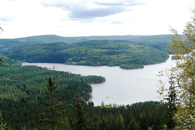 Oslo Nature walks: Forest to Fjord - Stop 3: Sognsvann Lake for a breather and summer swim option